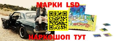 индика Моздок