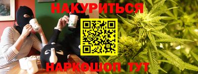 индика Моздок