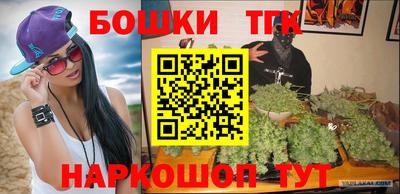 индика Моздок