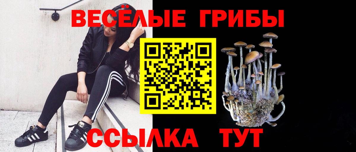 Псилоцибиновые грибы GOLDEN TEACHER Тамбов