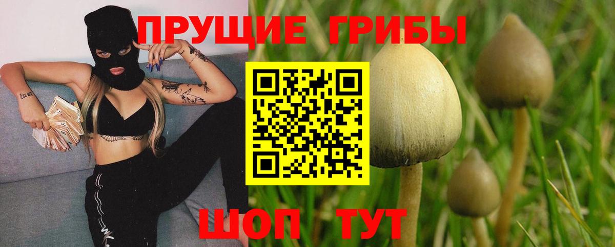 Псилоцибиновые грибы Psilocybine cubensis  Вход с VPN  Тамбов  Галлюциногенные грибы Cubensis 